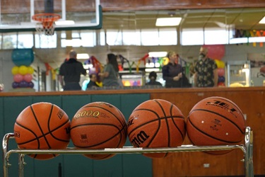 Basketballs neatly arranged on a rack in a gymnasium