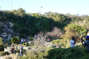 Multiple groups of people enjoying nature and sunshine on beautiful day at the Japanese Tea Garden.
