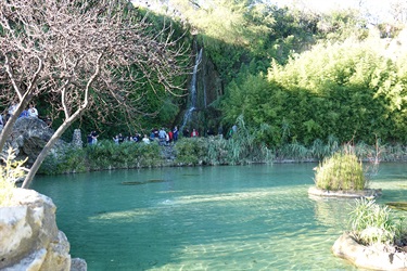 A group of people standing around a pond with a waterfall in a serene natural setting at the Japanese Tea Garden.