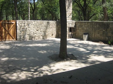 Single tree in the middle of an open courtyard