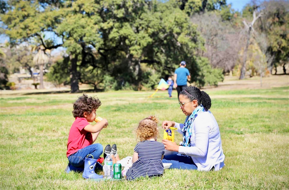 Mom and kids having a picnic at a park.