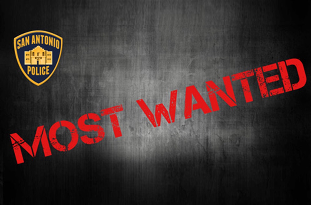 Most Wanted –